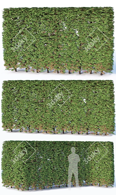 Modular Thuya Hedge Collection - 200cm Height 3D model image 2