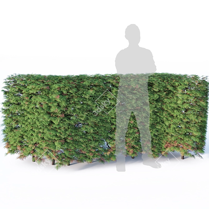 Seamless Thuya Hedge, H120cm 3D model image 2