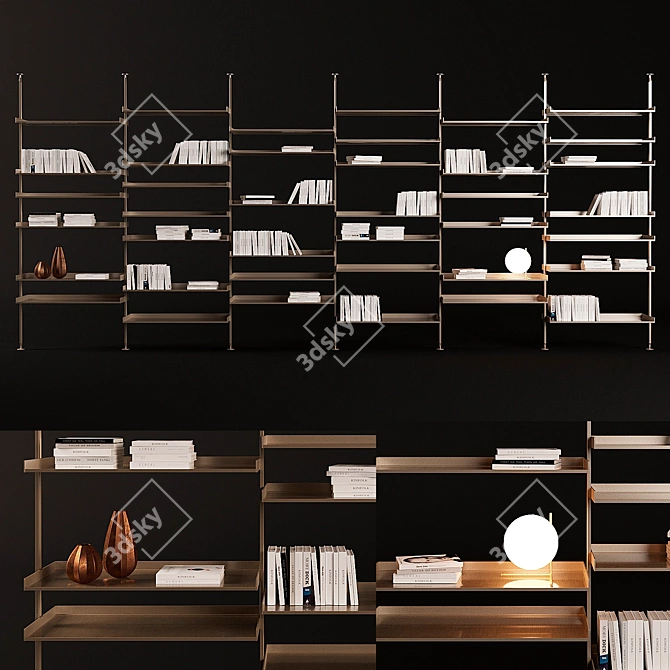 Sleek Zenit Bookcase by Rimadesio 3D model image 1