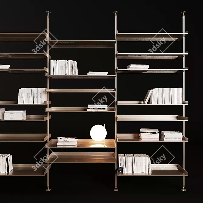 Sleek Zenit Bookcase by Rimadesio 3D model image 3