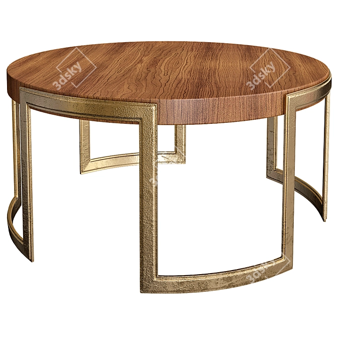 Bertrand Circular Coffee Table 3D model image 1