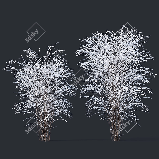 Snow-Covered Philadelphus Coronarius 3D model image 1