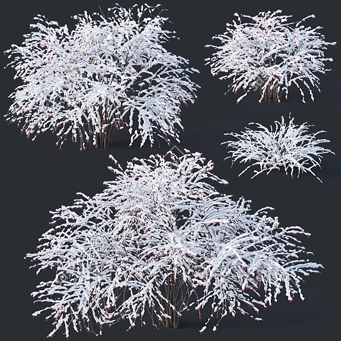 Snow-Covered Berberis Collection 3D model image 1