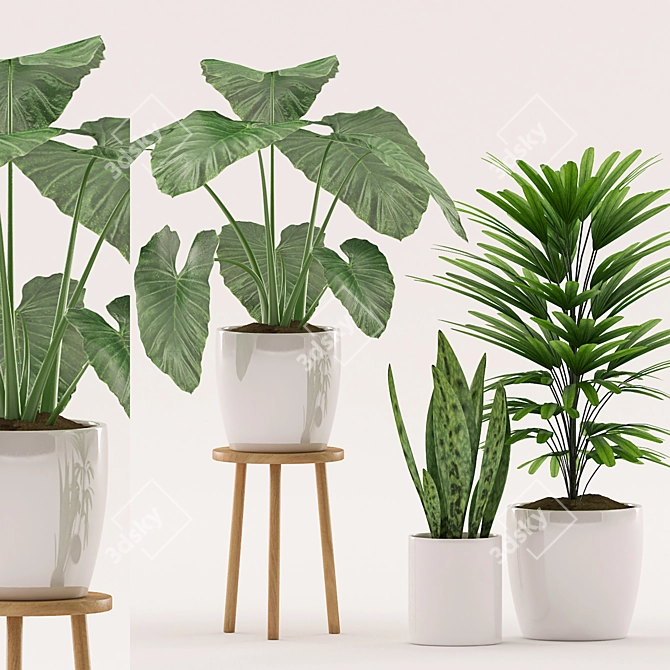 111 Palms in Ceramic Pot 3D model image 1