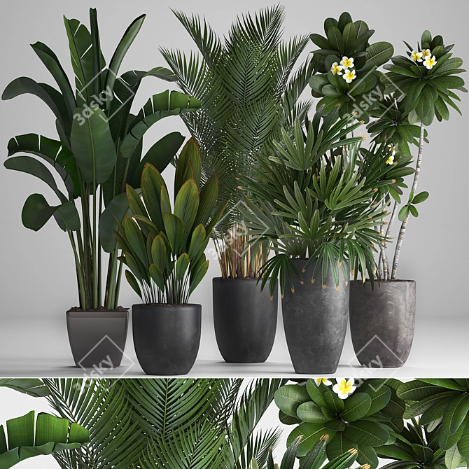 Tropical Plant Collection: Bananas, Palms & More 3D model image 1