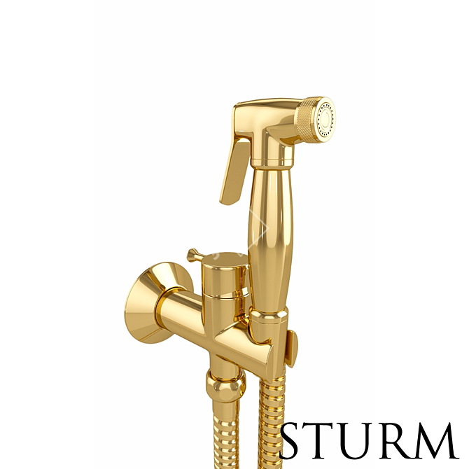 Luxury Gold Hygienic Shower Kit 3D model image 1