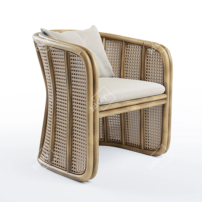 Boune Rattan Lounge Chair 3D model image 1