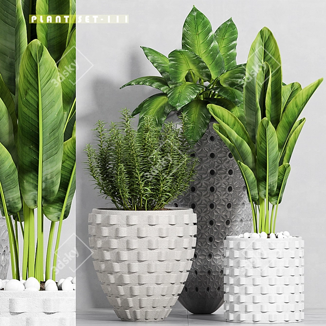Stylish Plant Set - 3 Pieces 3D model image 1