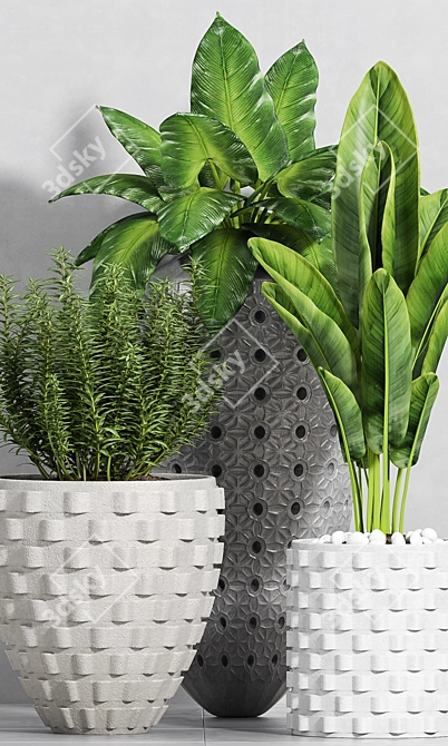 Stylish Plant Set - 3 Pieces 3D model image 2