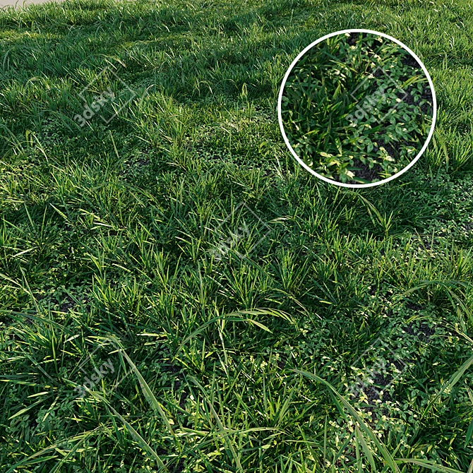 Meadow's Abundance: Lush and Versatile Grass 3D model image 1