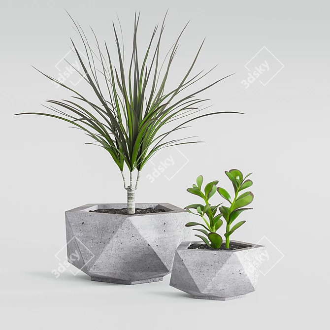 Stylish Pentagon Cache-Pot 3D model image 1