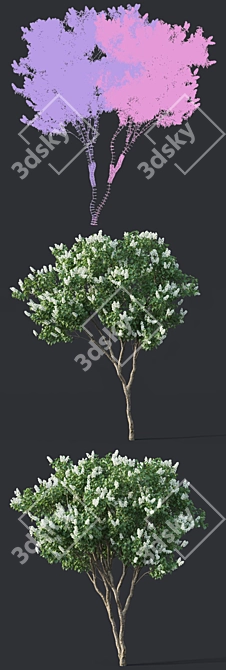 Luscious Lilac Tree - 390cm 3D model image 3