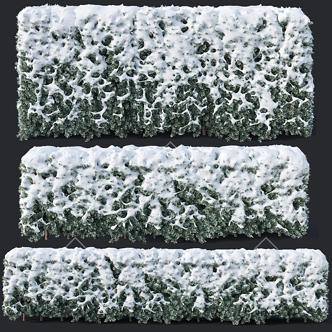 Snowy Yew Hedges: 80,120 cm 3D model image 1