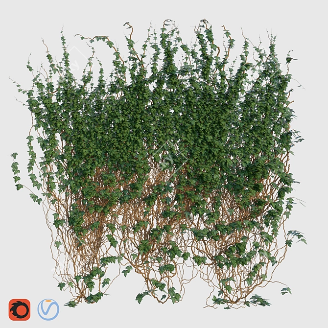 Evergreen Ivy Wall Covering - 3x3m 3D model image 1