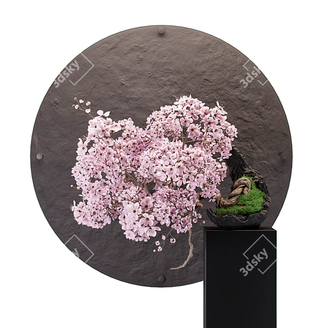 Sakura Bonsai Tree: 3D Model Kit 3D model image 1