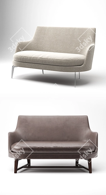 Elegant Flexform Guscio Sofa 3D model image 2