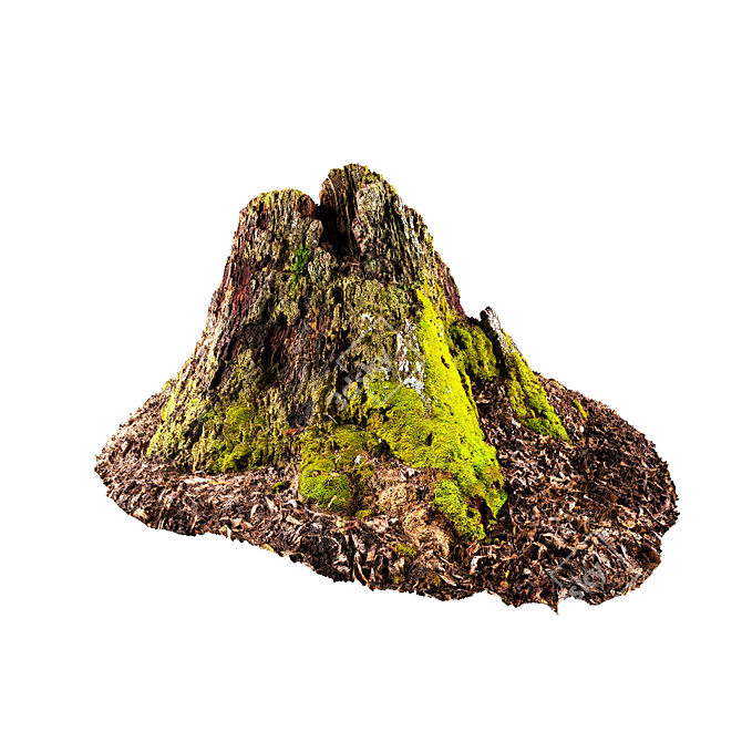 Natural Wood Stumps for Decor 3D model image 1