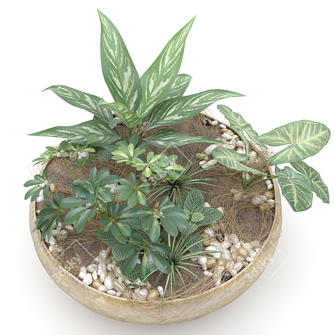 Modern Indoor Plant Pot 3D model image 2