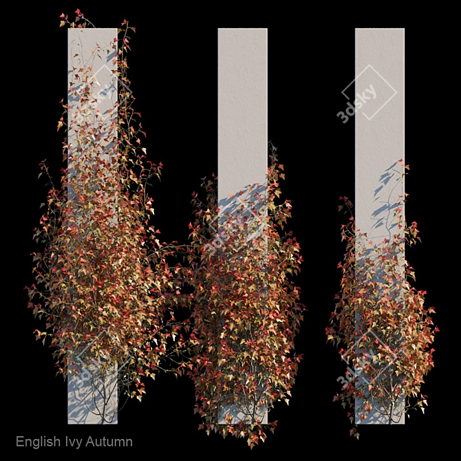 Autumn Bliss English Ivy 3D model image 1