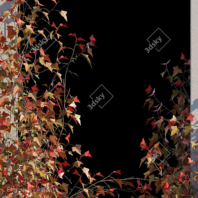 Autumn Bliss English Ivy 3D model image 2