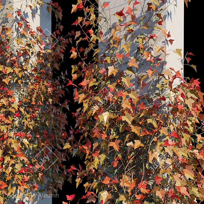 Autumn Bliss English Ivy 3D model image 3