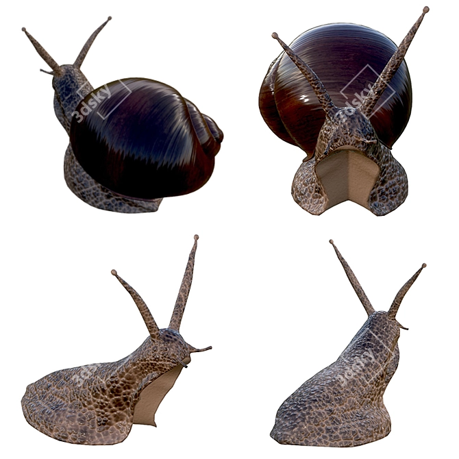 Mini Snail Figurine for Collectors 3D model image 2