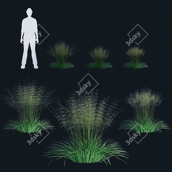 Lugovik Turfy: Premium Quality Pike Deschampsia 3D model image 2