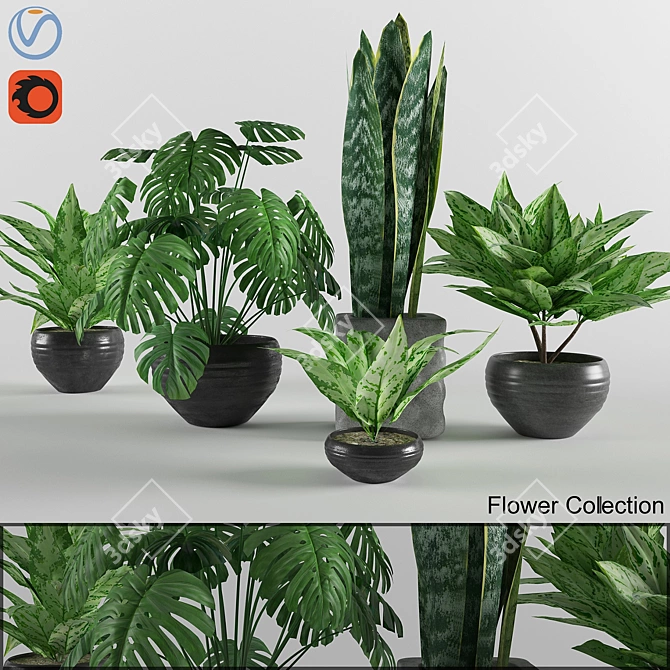 3D Flower Collection: Max, V-Ray, Corona, FBX, OBJ 3D model image 2