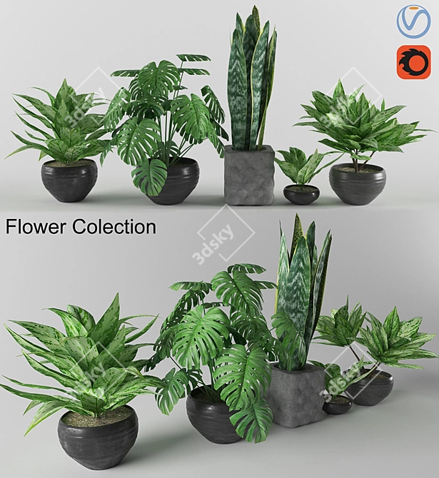 3D Flower Collection: Max, V-Ray, Corona, FBX, OBJ 3D model image 3