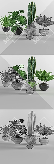 3D Flower Collection: Max, V-Ray, Corona, FBX, OBJ 3D model image 1