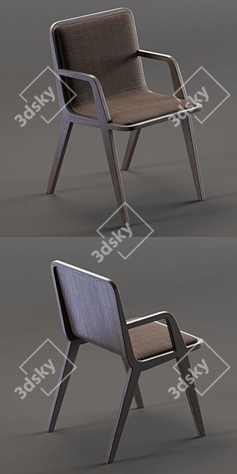 Sleek Altinox Nordic Chair 3D model image 2