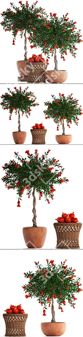 Blooming Pomegranate Tree with Fruits 3D model image 2