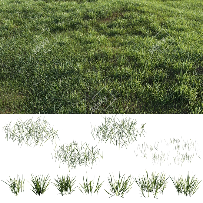 Lush Green Grass-Plot Kit 3D model image 1