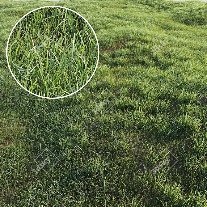 Lush Green Grass-Plot Kit 3D model image 2