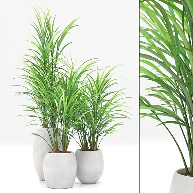Natural Oasis Bamboo Palm Set 3D model image 1