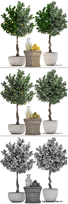 Lemon Tree Garden Set 3D model image 3