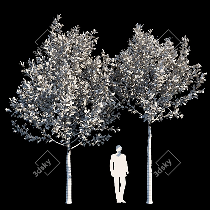 Urban Oasis: Street Tree 3 3D model image 2