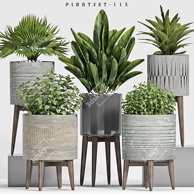 Decorative Plant Set 3D model image 1