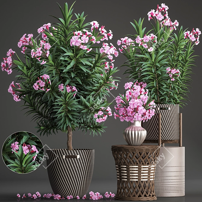 Title: Exotic Plant Collection: Oleander & Rattan Furniture 3D model image 1