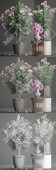 Title: Exotic Plant Collection: Oleander & Rattan Furniture 3D model image 3