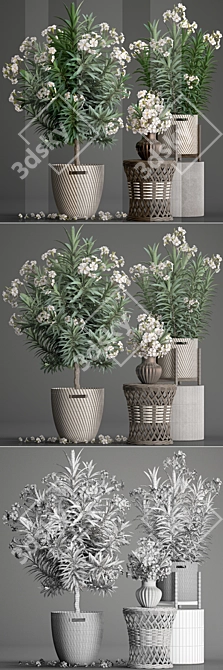 Exotic Plant Collection: Nerium Oleander 3D model image 3