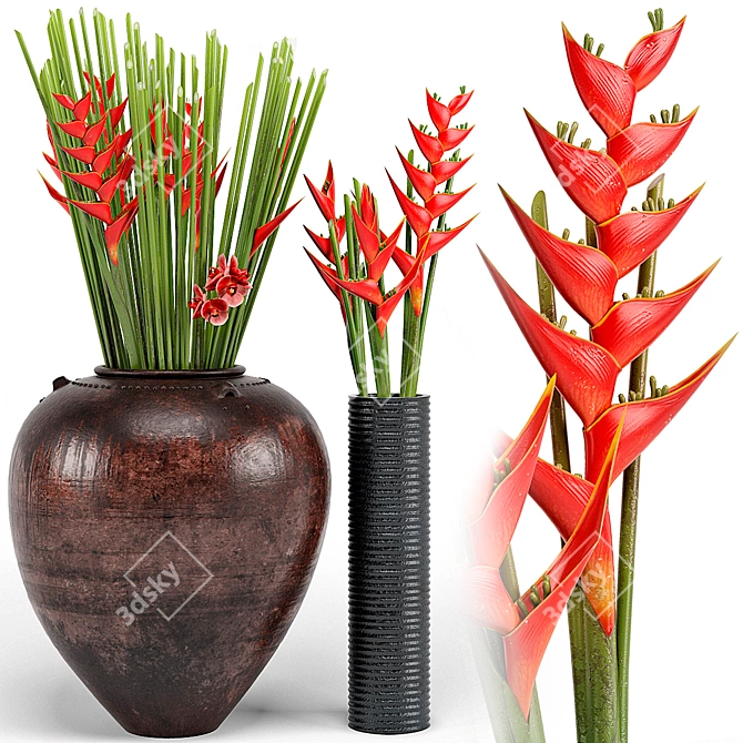 Exotic Tropical Floor Plants 3D model image 1