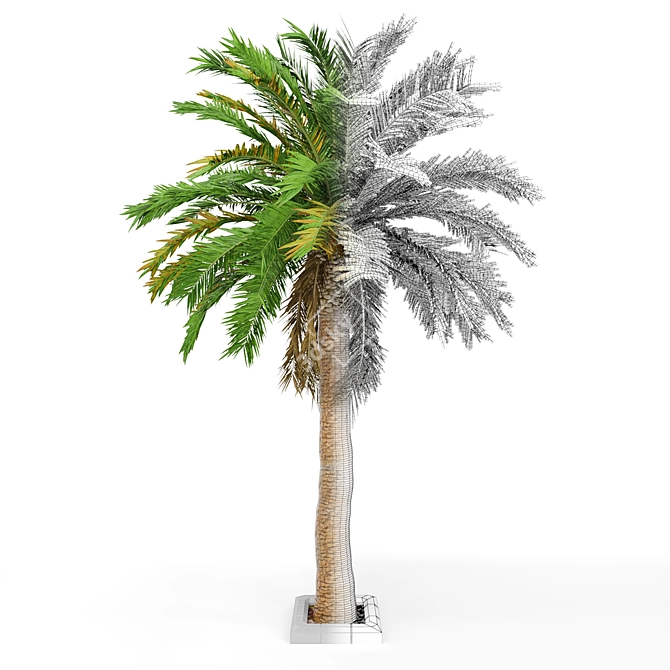 Premium Date Palm for Vray - High Detail Model 3D model image 3