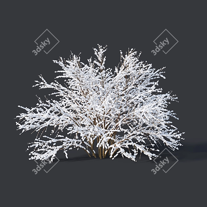 Frozen Forsythia Collection - 7 Sizes 3D model image 3