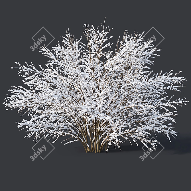 Frozen Forsythia Collection - 7 Sizes 3D model image 4