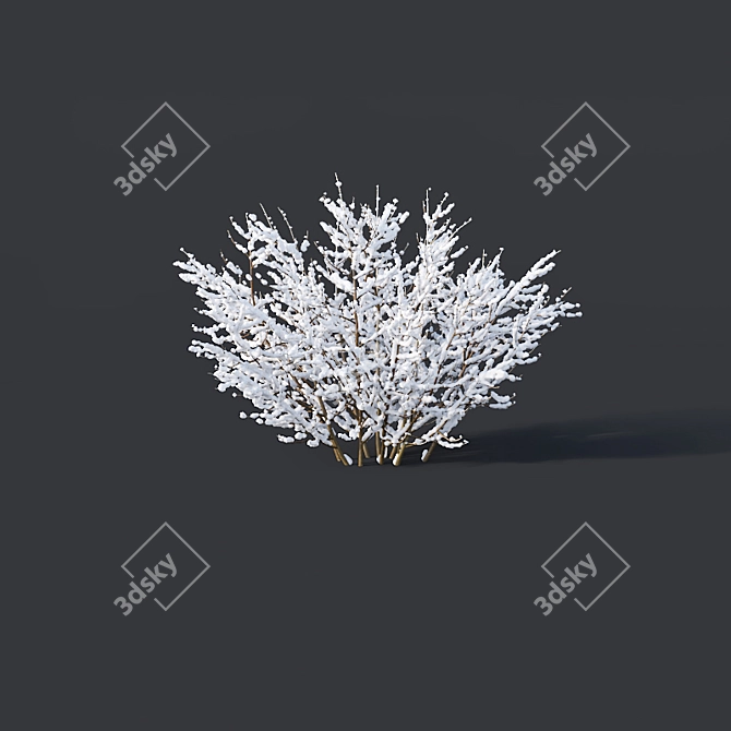 Frozen Forsythia Collection - 7 Sizes 3D model image 7