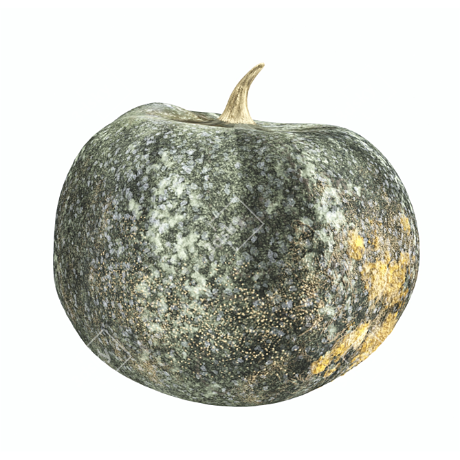 Pumpkin Sculpture with Texture Maps 3D model image 1