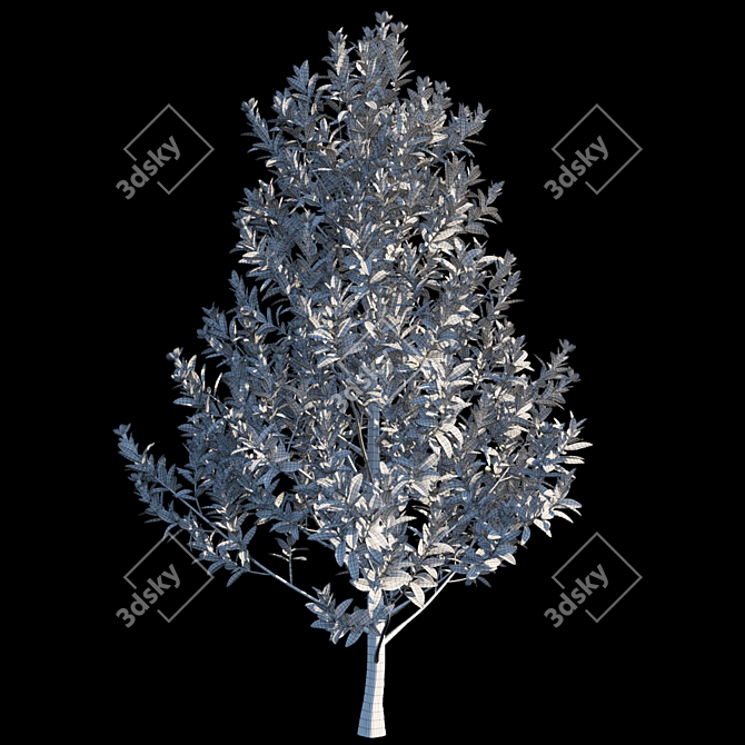 Elegant Magnolia Grandiflora 3D model image 3