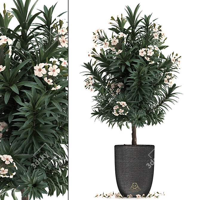 Exotic Nerium Oleander Tree - Plant Collection 271 3D model image 1