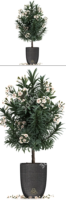 Exotic Nerium Oleander Tree - Plant Collection 271 3D model image 2